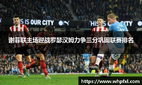谢菲联主场迎战罗瑟汉姆力争三分巩固联赛排名